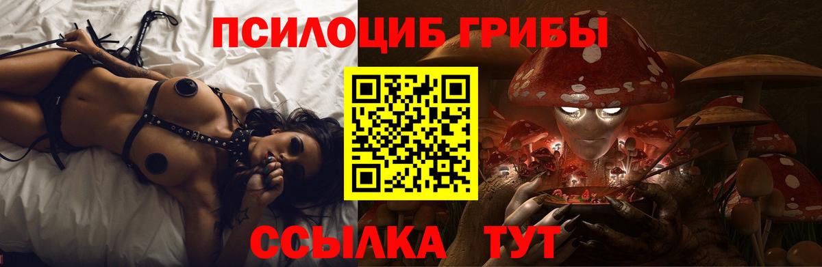 Псилоцибиновые грибы GOLDEN TEACHER Мытищи
